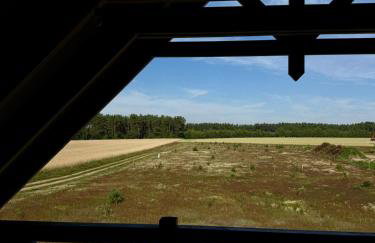 Dom na Kaszubach, Żuromino 2 0 - Foto 19