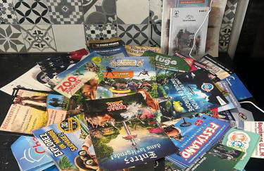 Gîte des Hirondelles n - Foto 32