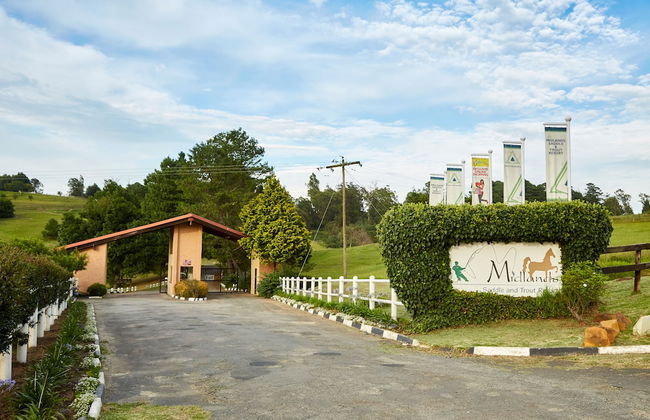 First Group Midlands Saddle and Trout - Photo 1