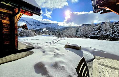 Chalet Côte 2000 ski inski out - Foto 41