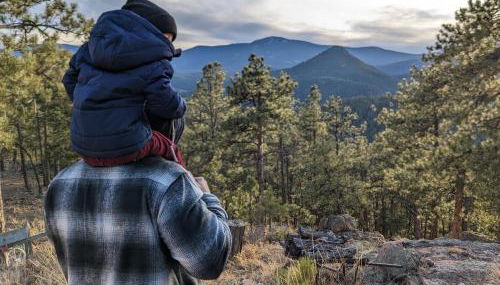 Bear Cabin - 10 Acres - Hot Tub - Foto 3