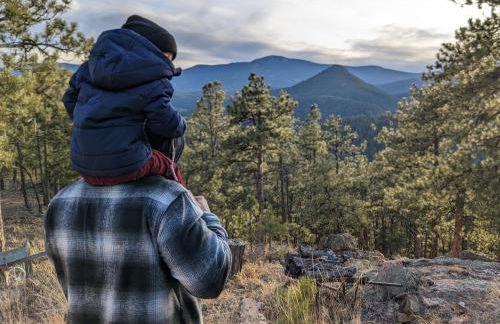 Bear Cabin - 10 Acres - Hot Tub - Foto 3