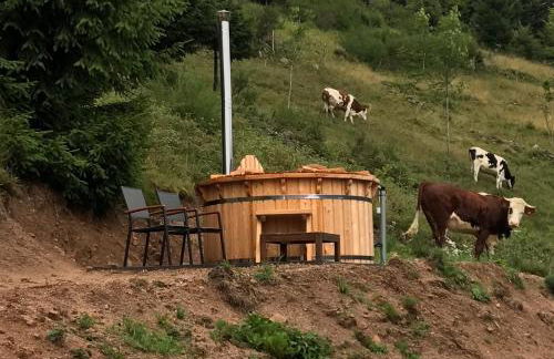 La Ferme du Nol - Foto 35