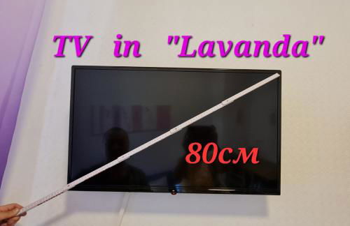 ELENA flat Lavendel Duisburg Zentrum - Photo 46