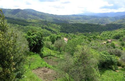 Artists' holiday home near Cinque Terre - 4 bedrooms, large terrace, great views - Foto 38