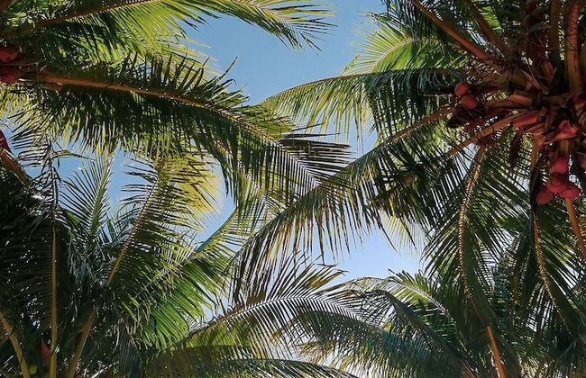 Beachfront Apartment Hacienda del Cuyo - Foto 27