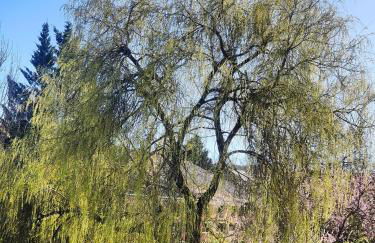 le gîte du lac - Foto 19