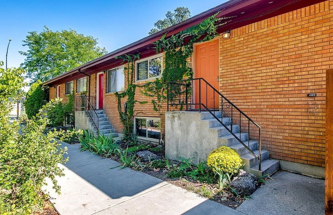 Red Ivy #5 - Foto 26