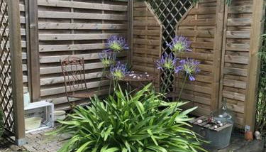 Ferienwohnung nähe Bodensee - Foto 4