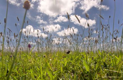 The Workshop- Eco Cottage by the Coastal Path - Photo 41