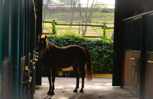 Pietra Cavalla - Ranch & Resort - Foto 43