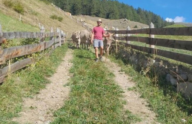 Hoamisch Modern Retreat - Foto 13