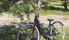 Villa Paquita - Foto 2