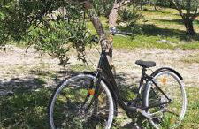 Villa Paquita - Foto 2