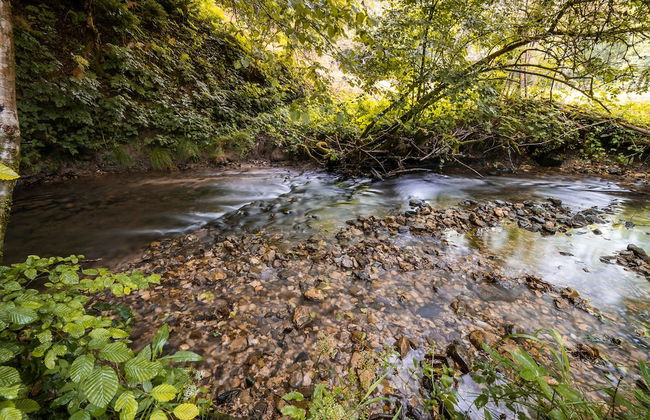 Vintage House Podliparska - Photo 42
