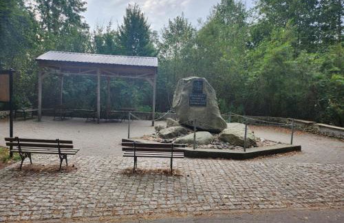 Domki Letniskowe U Żuni - Foto 17