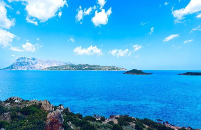 Apartment in Sos Alinos Near Sardinian Beaches - Photo 33