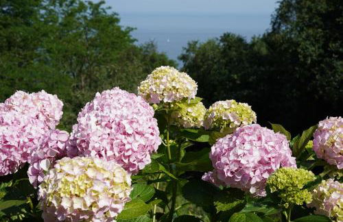 Apartamentos Mar y Mar Agroturismo - Foto 34