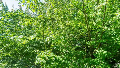 Blueground University District view nr UW SEA-913 - Foto 4, Other