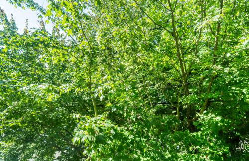 Blueground University District view nr UW SEA-913 - Foto 4