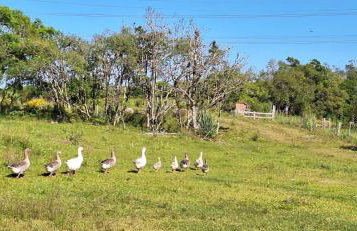 Rancho Bela Vista - o seu recanto em Pelotas - Foto 47