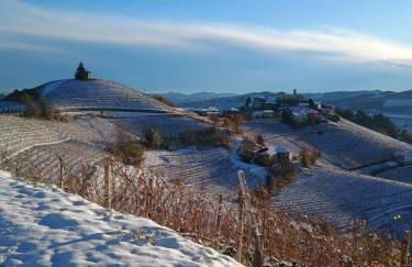 Beautiful private house among the Moscato vineyards - Foto 1