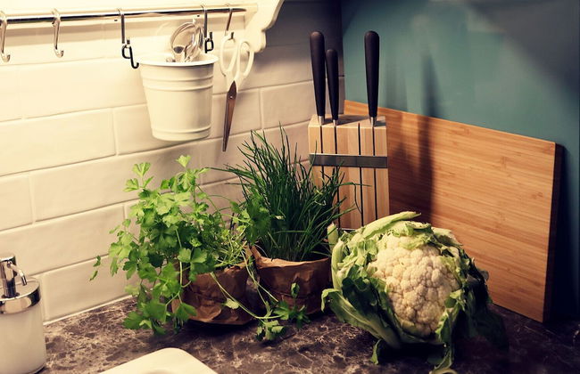 Chase Apartments Boutiquehotel Style I - Photo 30