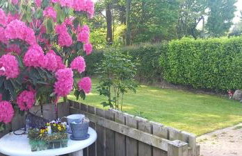 Coast Road Retreat-a stunning 3 bed home in Larne - Foto 11