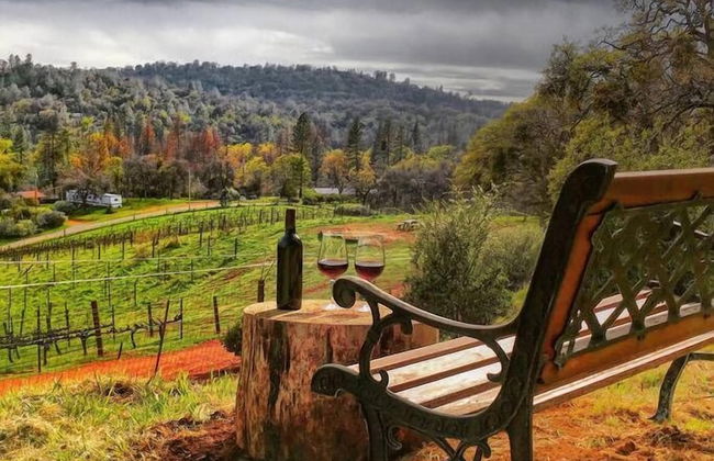 Papillon Cellars - Foto 14