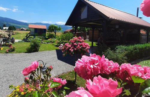 Kuća za odmor Delak - Foto 41