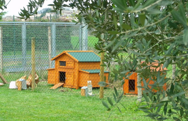 Agriturismo al Tralcio - Photo 77