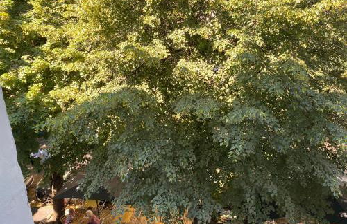 AU 47 ALLÉES D'ETIGNY - CENTRAL & STANDING - avec parking - Linge de lit et de toilette inclus - Foto 76
