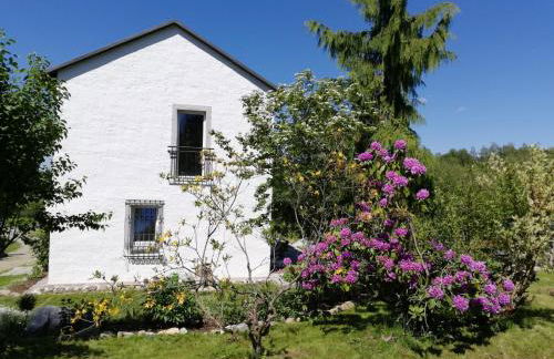 Fahrenbach-Alm - Foto 20