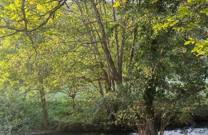 Les Girouteaux Le Fenil - Photo 34