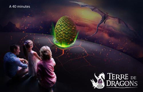 Maison proche Futuroscope - Foto 41