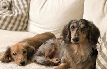 Oak Tree Hideaway - Foto 69