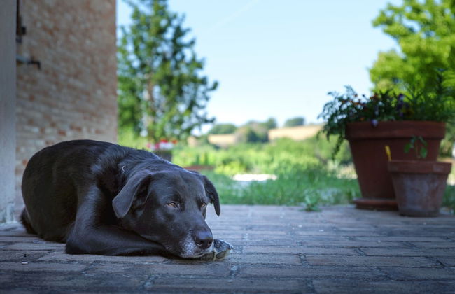 Casale Talevi - Foto 33