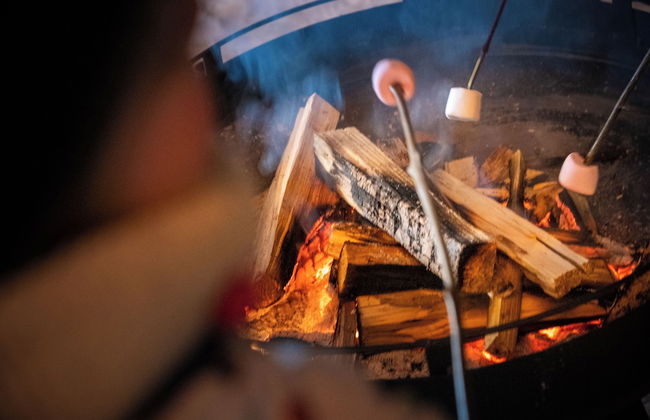 Chalets Huttopia White Mountains - Photo 15