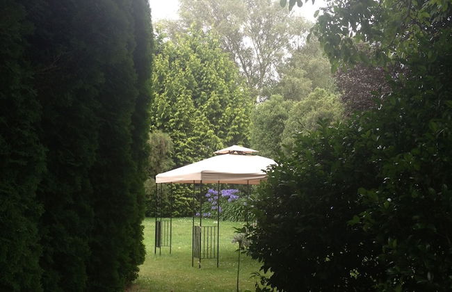 Walnut Grove Lodge - Foto 67