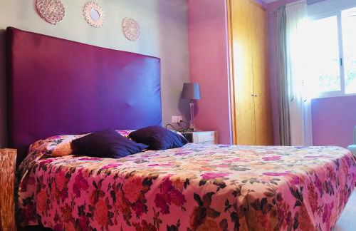 Apartamentos Playa Torrenostra - Foto 37