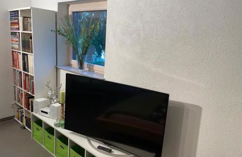 Limes Apartment -übernachten am Limes- - Photo 29