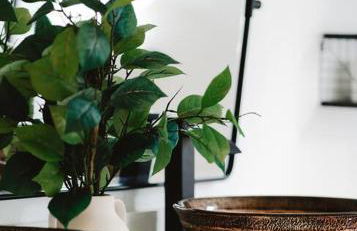 Madre Tierra - Photo 71