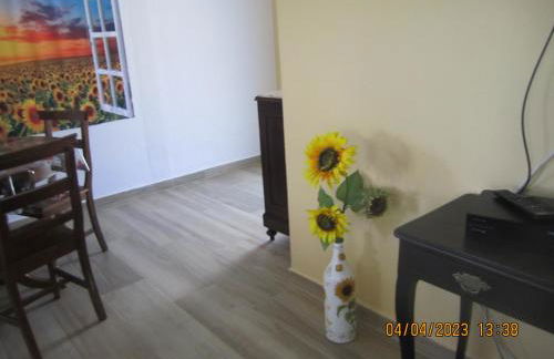 Sol Poente - Foto 77