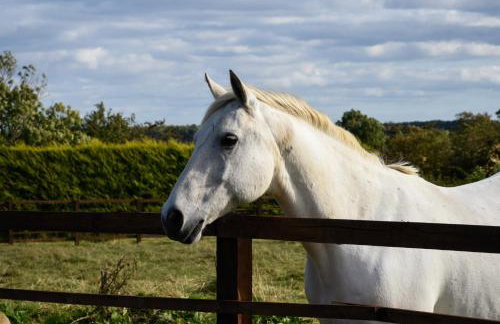 The Hideaway with hot tub - Foto 29