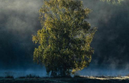 Chateau et piscine privé près du Chateau de Chambord - Photo 28