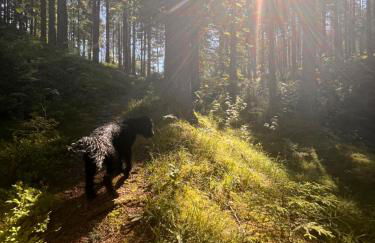 HAUS AM SEE - Natur Pur - Foto 31