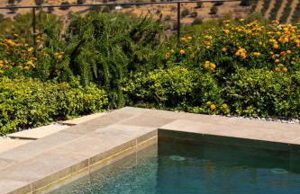 Askianos Luxury Villas - An Oasis of Harmony & Elegance - Photo 57