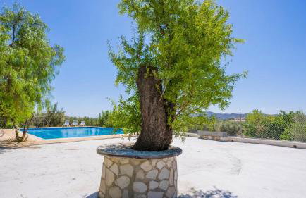 Cortijo El Álamo 1 Vélez Blanco by Ruralidays - Photo 41