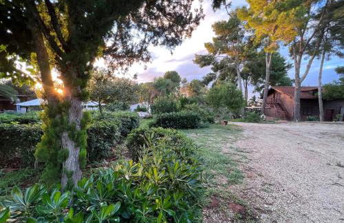 Villa Rosemary - Photo 52