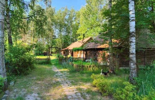 Villa Stare Osieczno - Foto 39